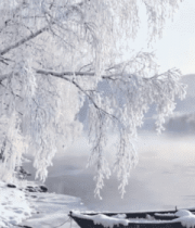 冬季河岸雾凇覆盖的静谧景象5631#横屏 