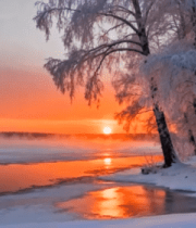 冬季森林雪景日落景象2009#横屏 