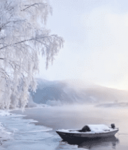 冬季河岸雾凇覆盖的白桦林1505#横屏 