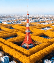 东京铁塔秋日城市全景6988#横屏 