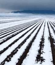 冬季农田雪景风光1670#横屏 