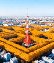 东京铁塔秋日城市全景6988#横屏 