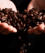 双手捧咖啡豆特写9161#横屏 
