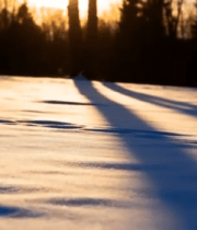 冬日雪地夕阳下的森林景象1726#横屏 