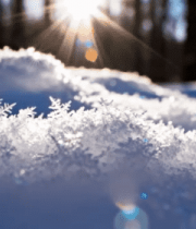 冬日阳光下的雪景特写9201#横屏 