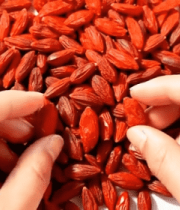 双手掰开枸杞特写素材3401#横屏 