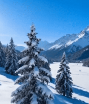 冬日雪林雪山自然风光1120#横屏 