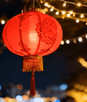 树上悬挂的红灯笼与彩灯11077#横屏 