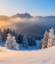 冬日雪山森林日出景观14233#横屏 