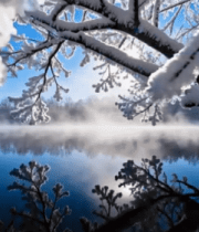 冬日雪景森林湖面风光11913#横屏 