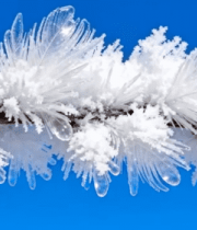 树枝上的冬季雾凇景观4400#横屏 