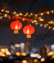 树上挂红灯笼夜景14226#横屏 