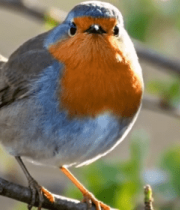 手托虚拟心脏医学素材11795#横屏 