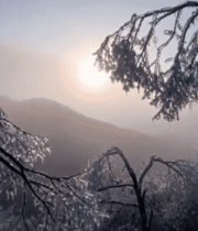 冬日森林雾凇日出景象11940#横屏 