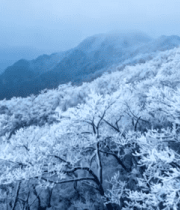 冬日山间雾凇覆盖山脉景观86#横屏 