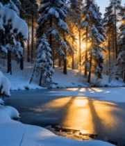 冬日森林雪景阳光洒落景象11767#横屏 