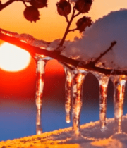 冬日树枝积雪与冰柱日落景象5040#横屏 