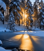 冬日森林雪景阳光洒落景象11767#横屏 