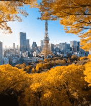 东京城市风光秋日景色8185#横屏 