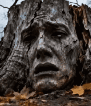 	 雕刻人脸的树桩特写3636#横屏 