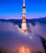 东京塔城市夜景鸟瞰全景503#横屏 