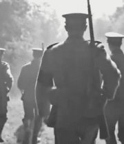 士兵林间行进背影素材548#横屏 