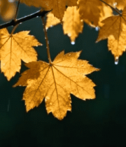 带太阳能板的科技感住宅308#横屏 