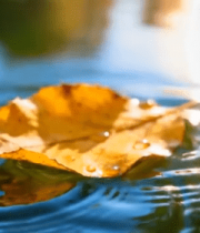 山间云雾缭绕森林景观8229#横屏 