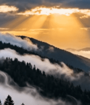 山林间阳光穿透云雾景象312#横屏 