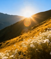 山间花草与落日风光11258#横屏 