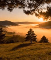 山间草地日出自然风光2223#横屏 