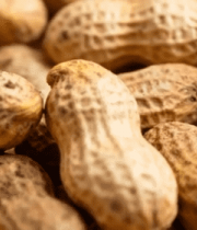 带壳花生特写素材11882#横屏 