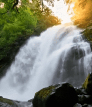 森林中的瀑布景观3269#横屏 