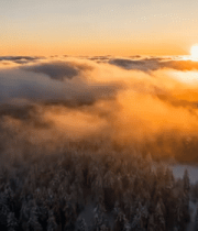 森林云海日出全景1518#横屏 