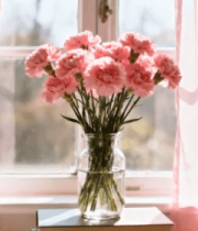 窗边花瓶内的粉色花卉6575#横屏 
