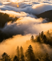 森林云海日出全景(1)6121#横屏 