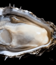 打开的新鲜生蚝特写素材2133#横屏 