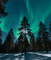 森林雪景中的极光景象11157#横屏 