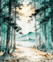 森林阳光照射树木素材8958#横屏 