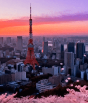 日落时东京塔与樱花城市景观6591#横屏 