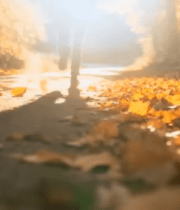 人在秋日森林中漫步2510#横屏 