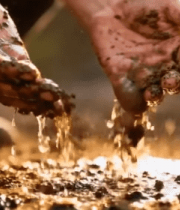 人手捧撒土壤素材3527#横屏 