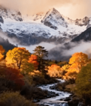 秋日雪山下森林溪流风景8790#横屏 