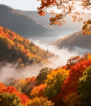 秋日山林晨雾红叶景观5300#横屏 