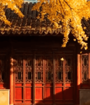 秋日中式古建筑景观11486#横屏 