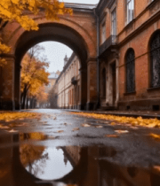 秋日红砖建筑街道风景12360#横屏 