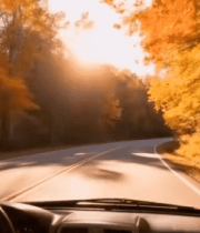 秋日森林驾车视角风景8963#横屏 