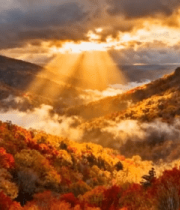 秋季森林日出自然风光4848#横屏 