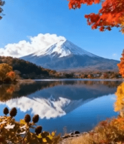 秋日富士山湖畔枫叶风景 ()739#横屏 