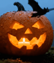 万圣节南瓜灯与蝙蝠特写14999#横屏 